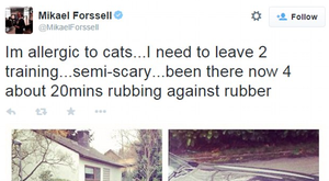 Cuando un gato casi impidió a una estrella ir a entrenar