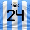 nano24