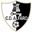 CD Alfaro Juvenil