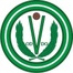 Villaviciosa League