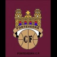 Vamos Pontevedra vamos campeón !!!