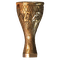 Copa Taça Eslovénia 