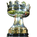 Copa de Liga de los Emiratos