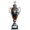 Copa Copa de la Liga de Islandia