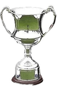 Copa Leinster Irlanda