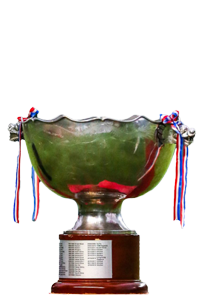 Taça FA Hong Kong
