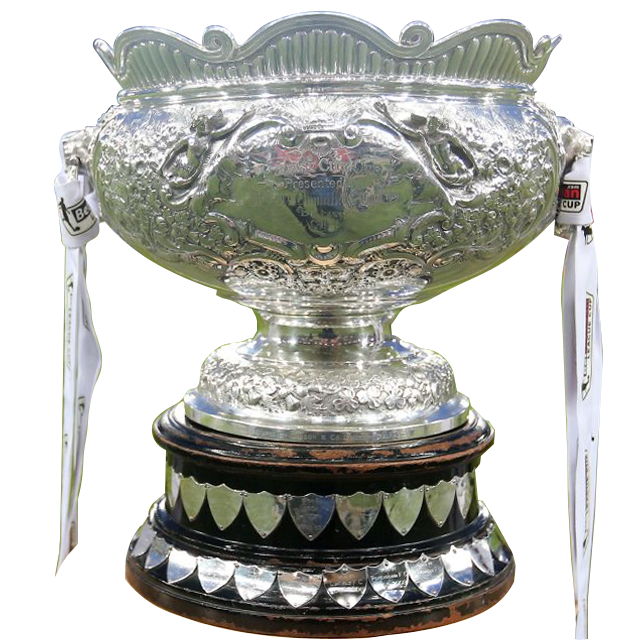 Copa de la liga Irlanda del Norte