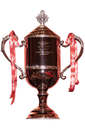 Rakuten Cup