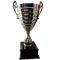 Copa Liga Boliviana - Apertura