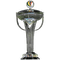 Copa Taça AFC