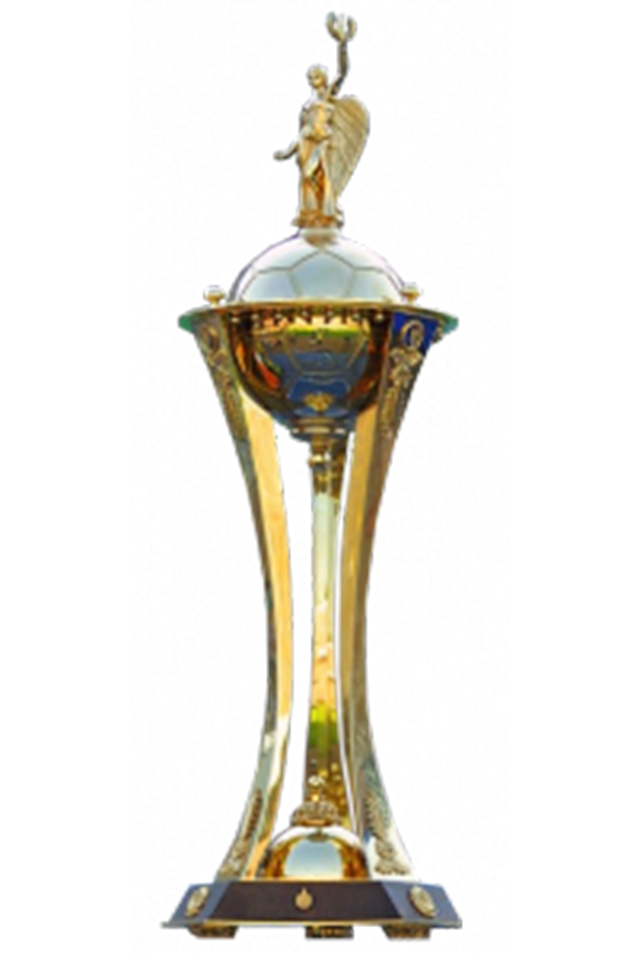 Copa Ucraniana