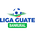 Liga Guatemala - Apertura