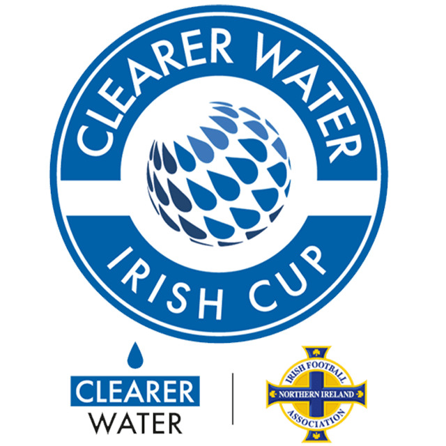 Copa de Irlanda del Norte