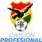 Primera División Bolivia