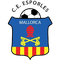 Escudo 