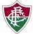 Fluminense Sub 20