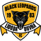 Black Leopards