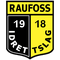 Escudo Raufoss II