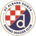 St. Albans Saints