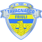 Escudo Tavagnacco Fem