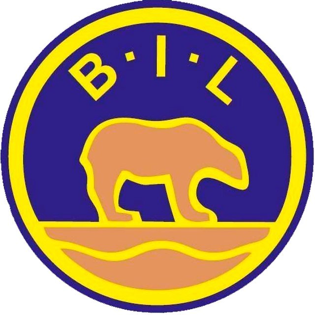 Bjørnevatn