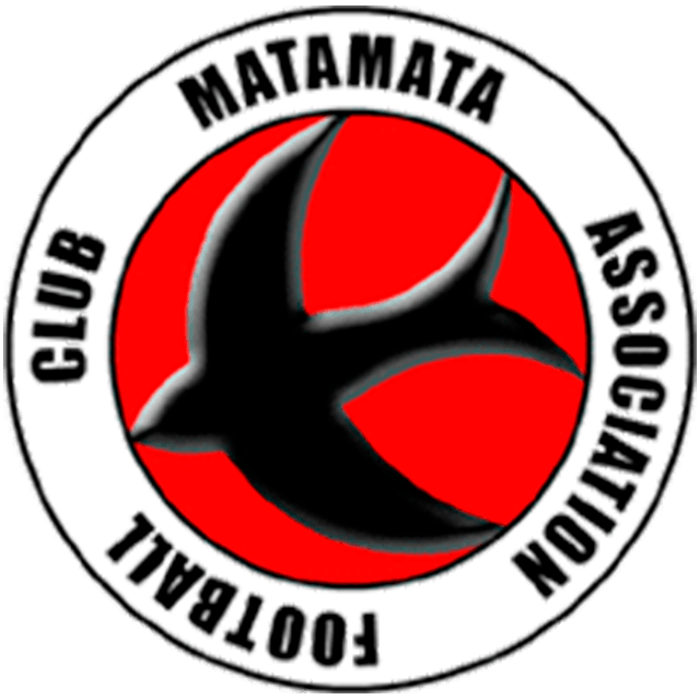 Matamata Swifts