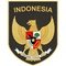 Indonesia U19 Indonesia U19