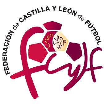 Selección Castilla y León