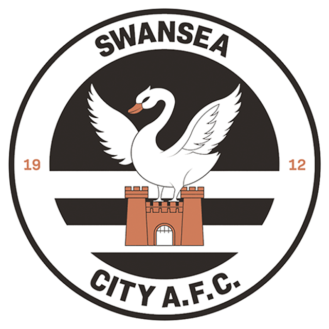 Swansea City Fem