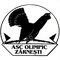 Olimpic Zarnesti