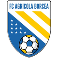 Agricola Borcea