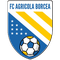 Agricola Borcea
