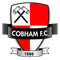 Cobham FC