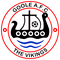 Escudo Goole