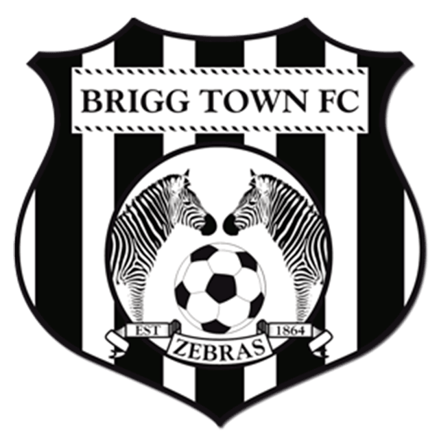 Brigg Town