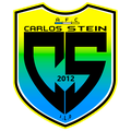 Carlos Stein