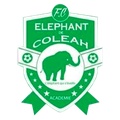 Eléphant Coléah