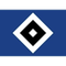 HSV