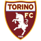 Escudo Torino Sub 17