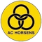 AC Horsens U17