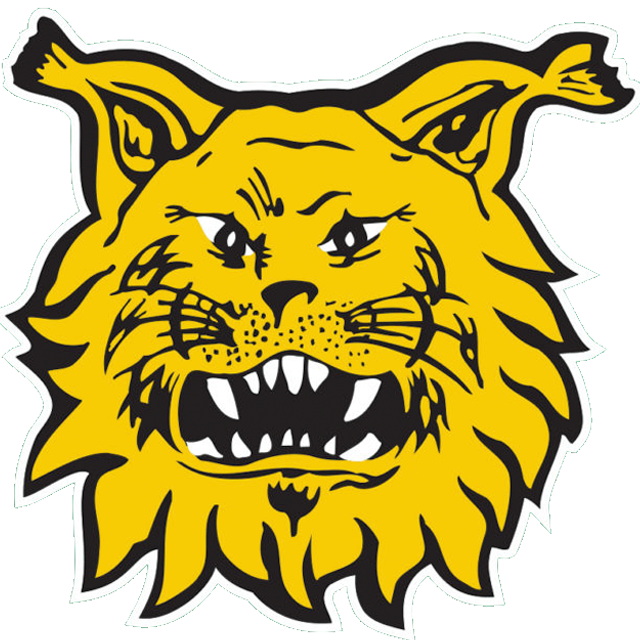 Ilves Sub 19
