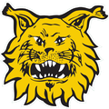 Ilves U19