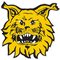 Ilves U19