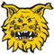 Ilves U19