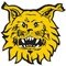 Ilves Sub 19