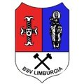 BSV Limburgia