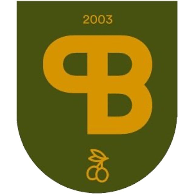CP Bormujos U8