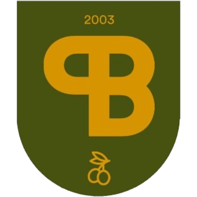 CP Bormujos U8