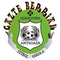 C.F. Gazte Berriak Ansoain Femenino A