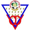 Escudo del Valdepeñas